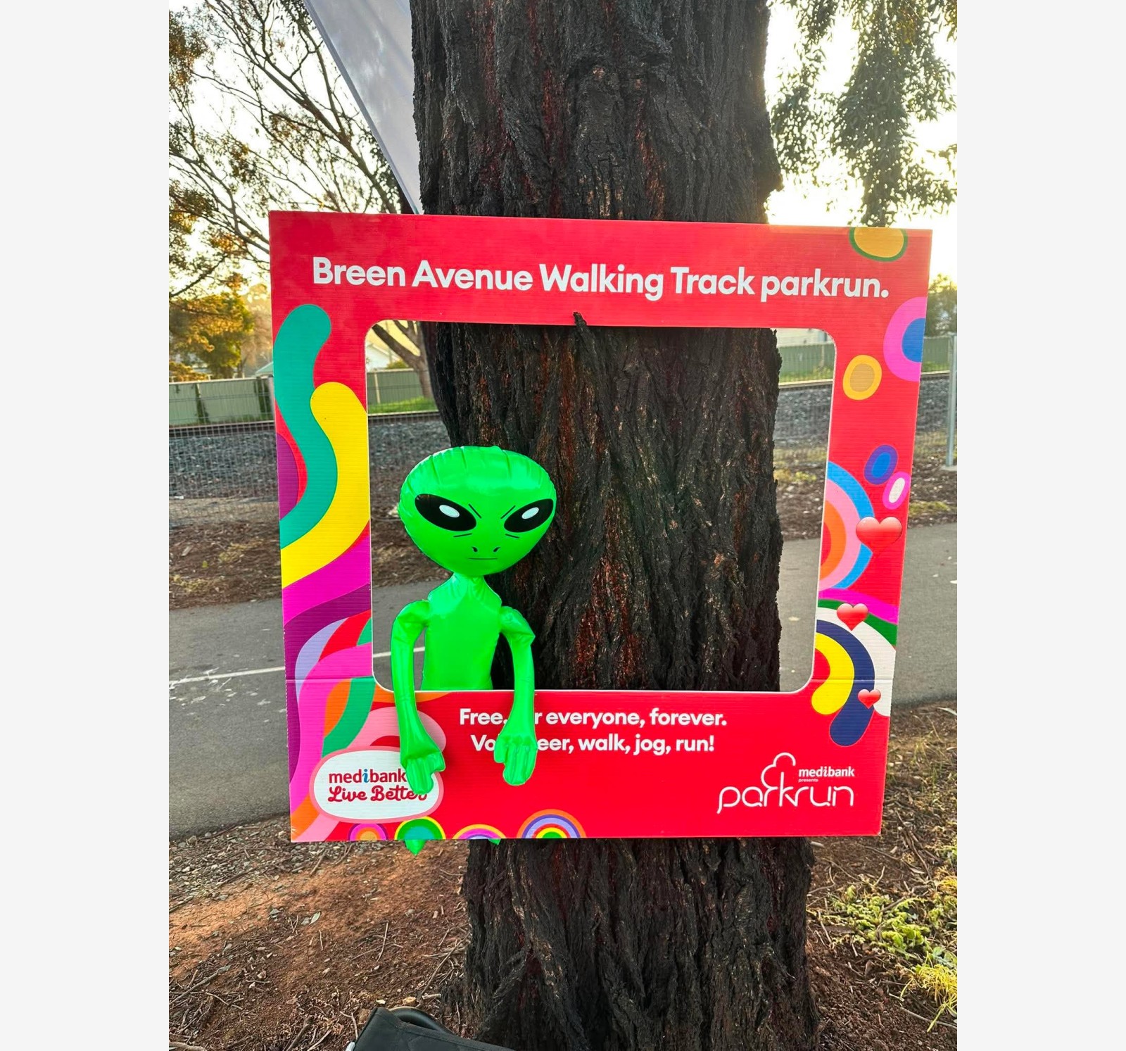 Breen Avenue Walking Track companion montage