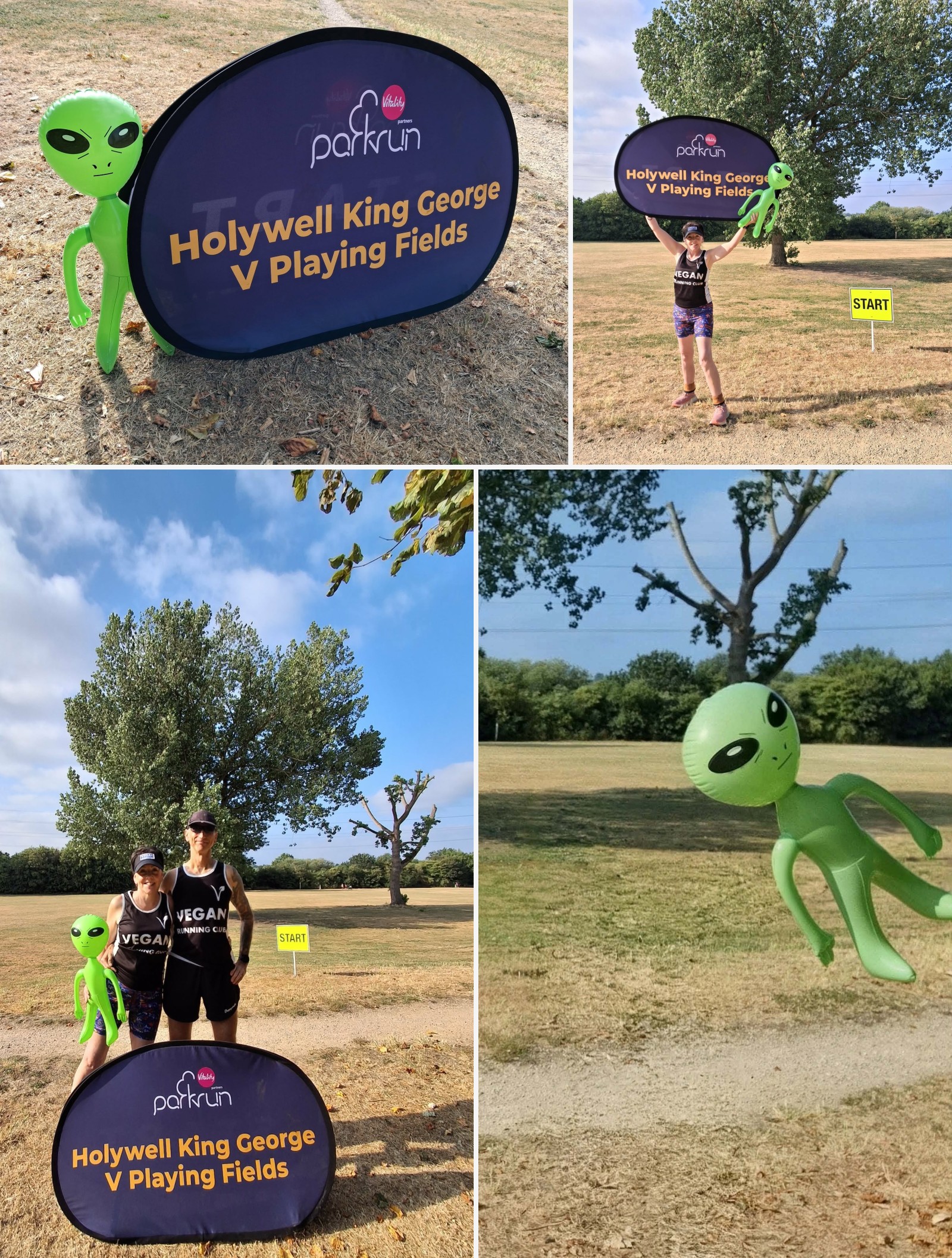 Holywell King George V Playing Fields companion montage