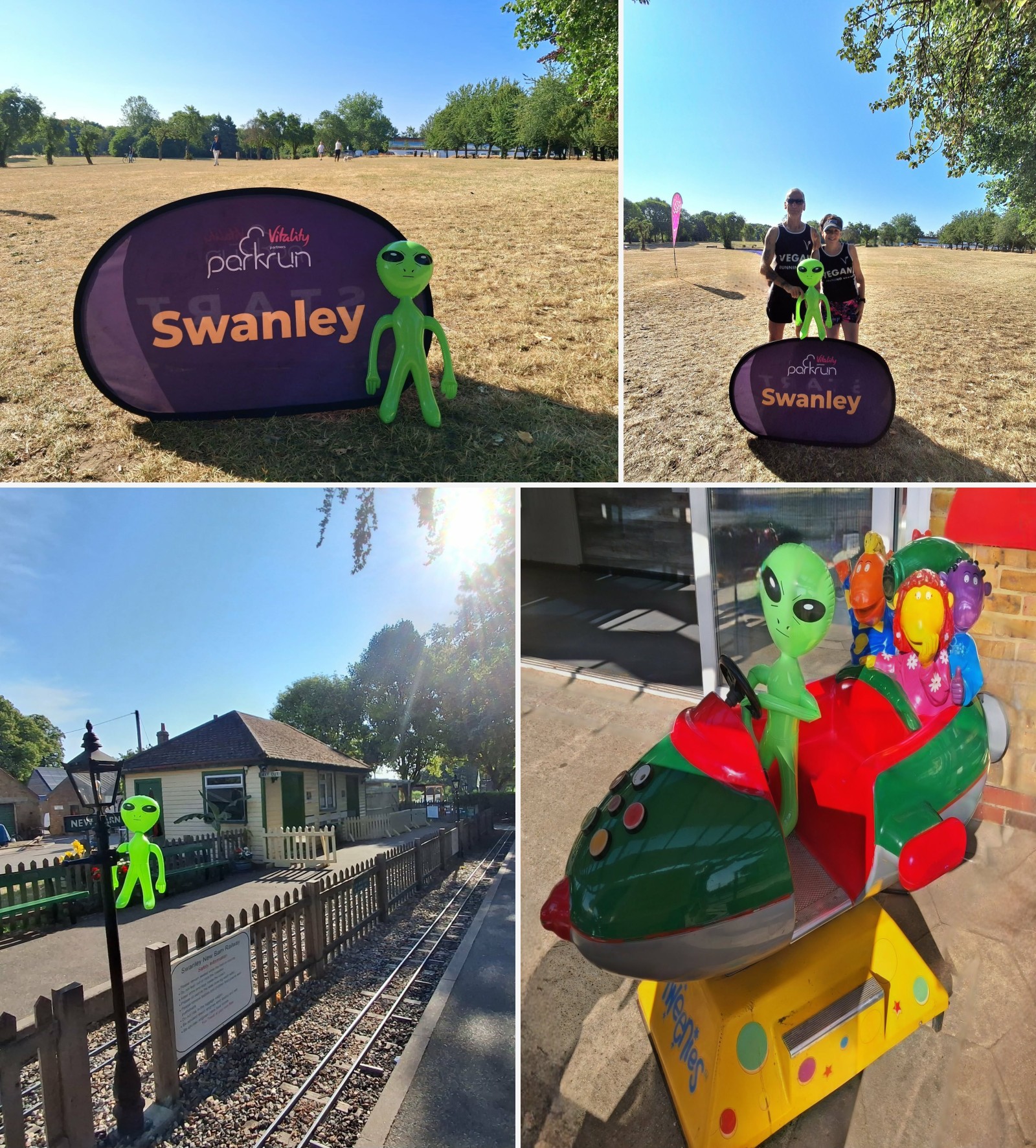 Swanley companion montage