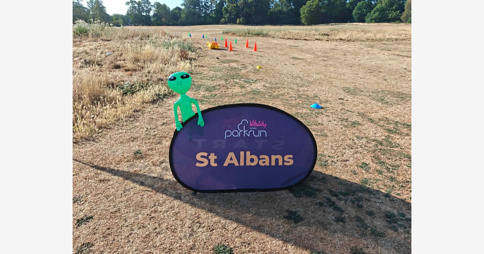 St Albans companion montage