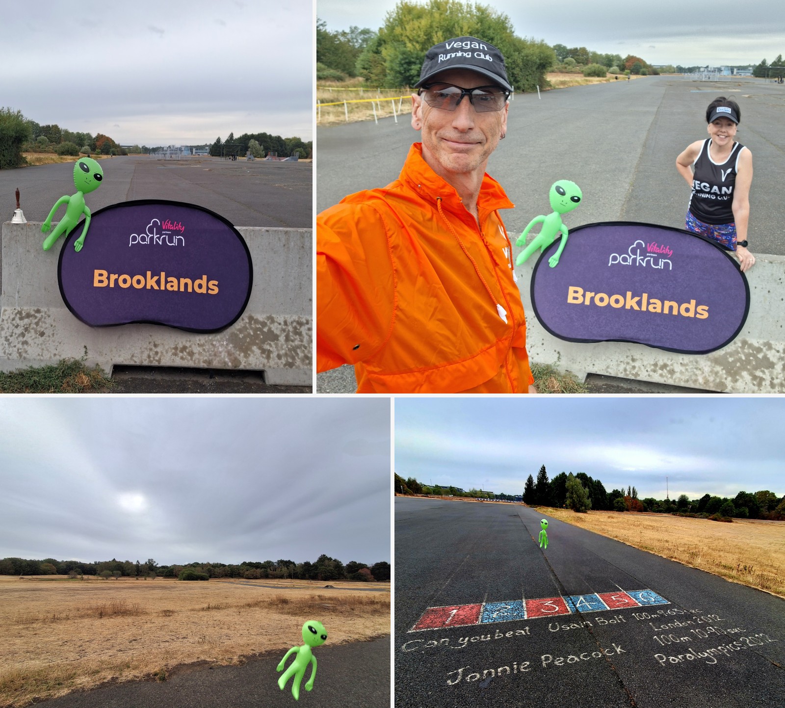 Brooklands companion montage