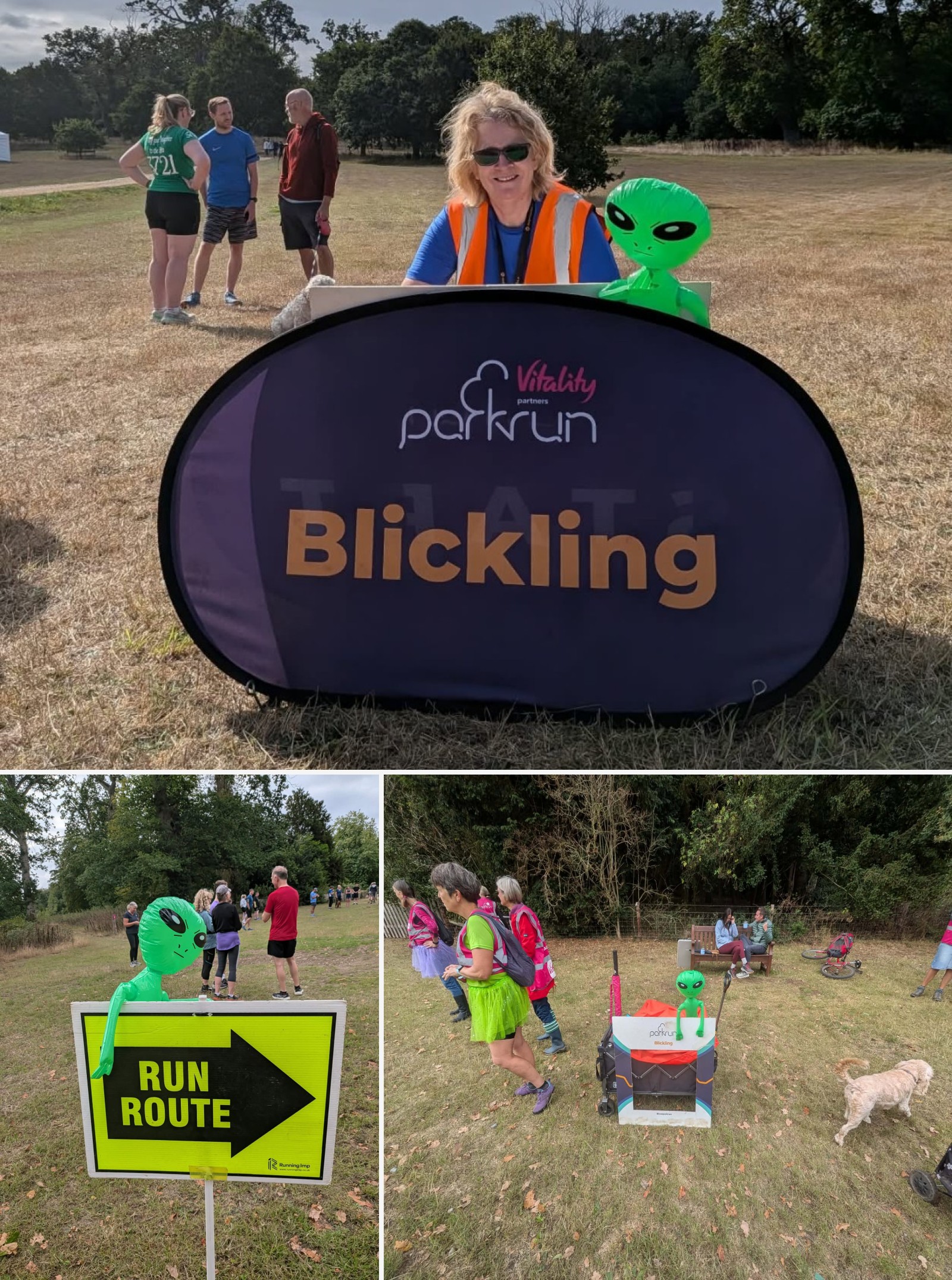 Blickling companion montage