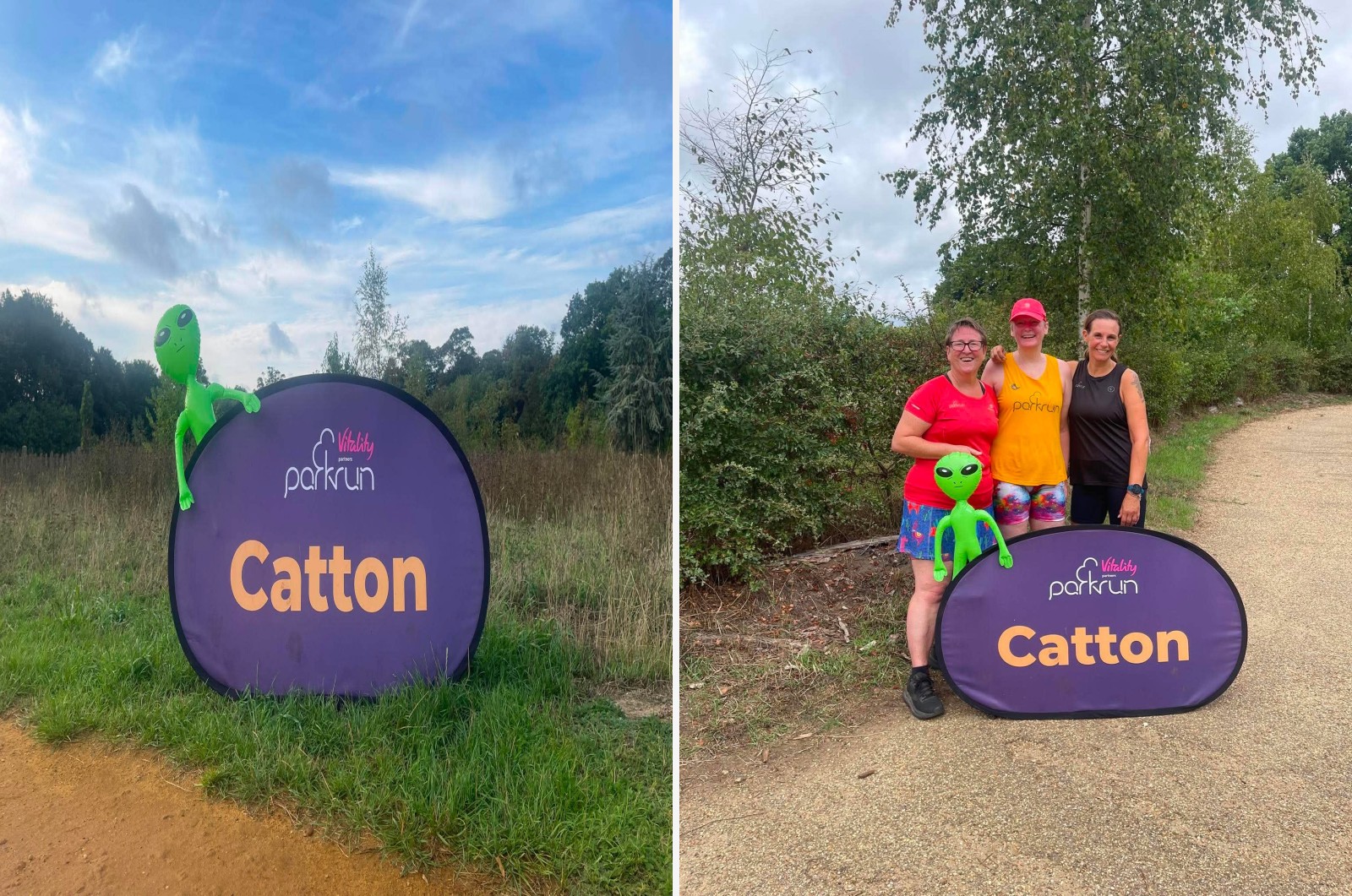 Catton companion montage
