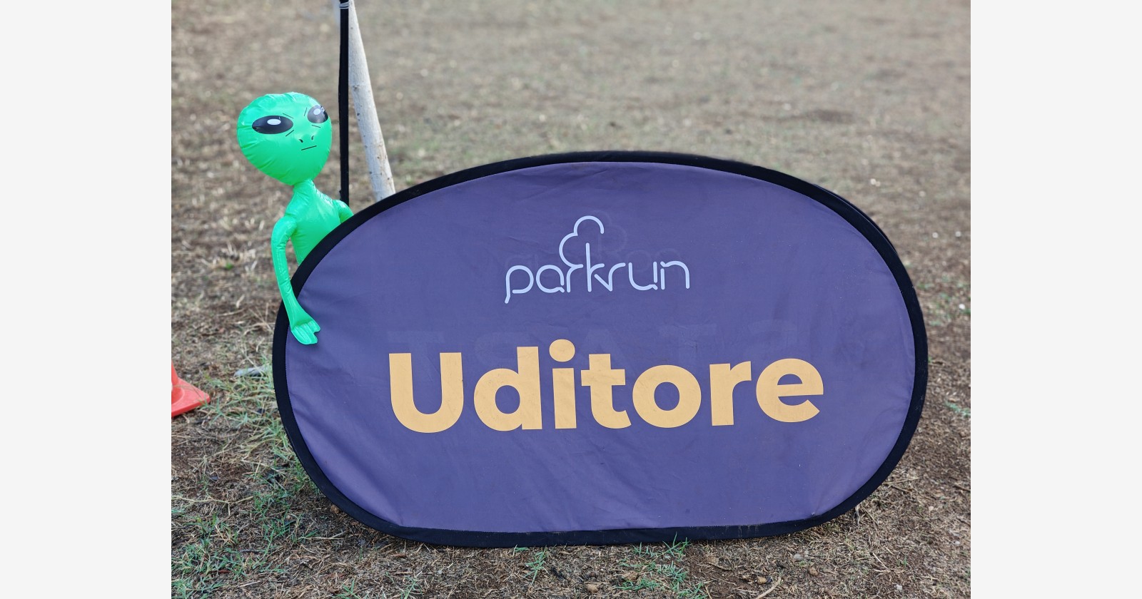 Uditore companion montage