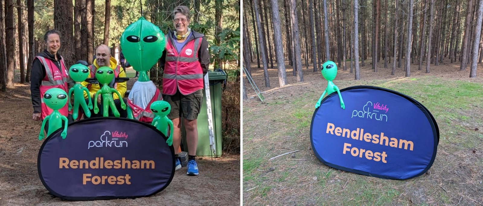 Rendlesham Forest companion montage