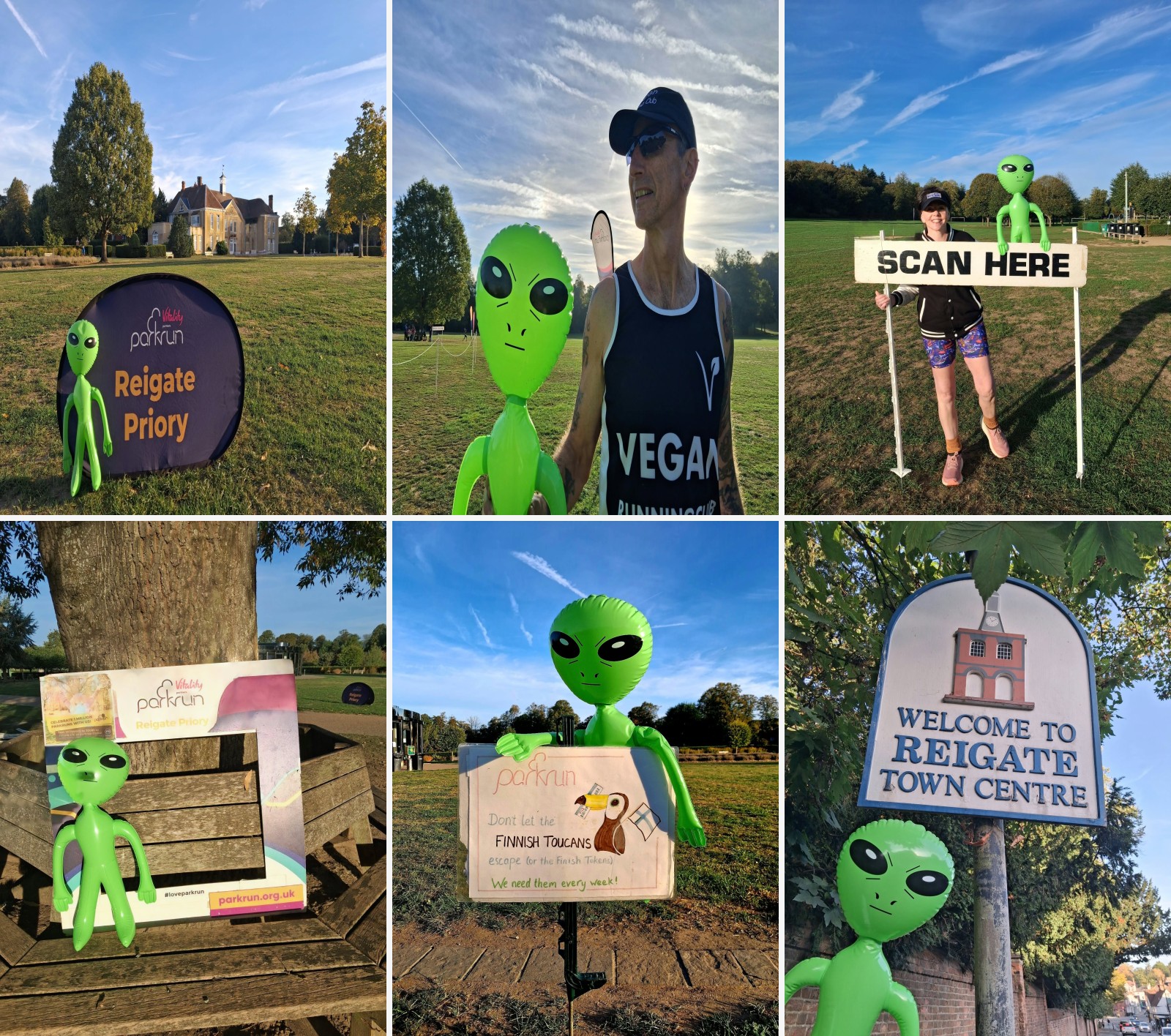 Reigate Priory companion montage