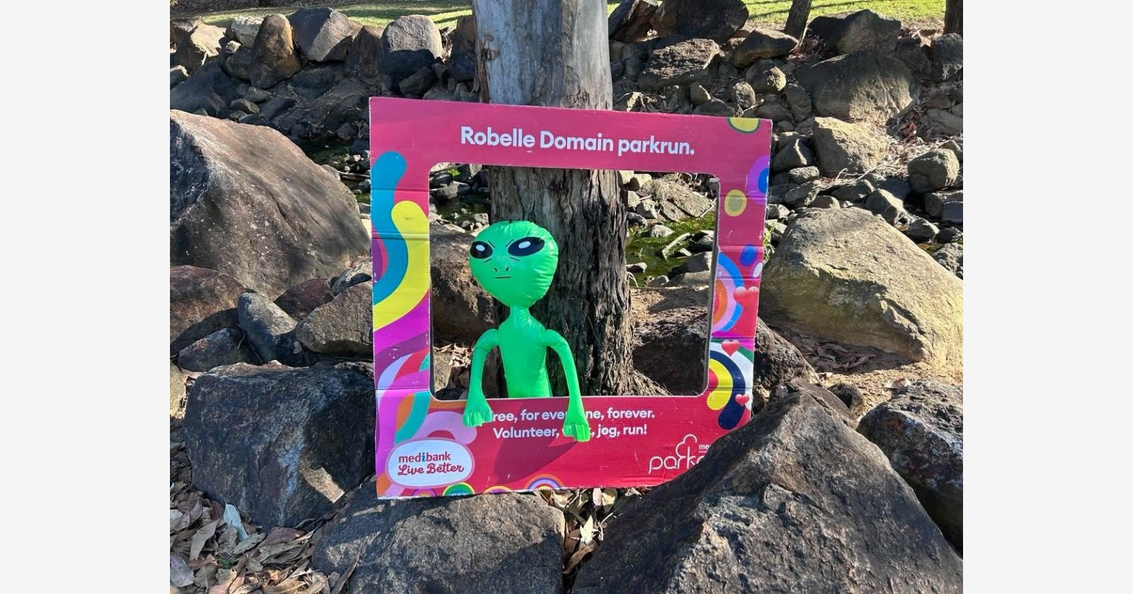 Robelle Domain companion montage