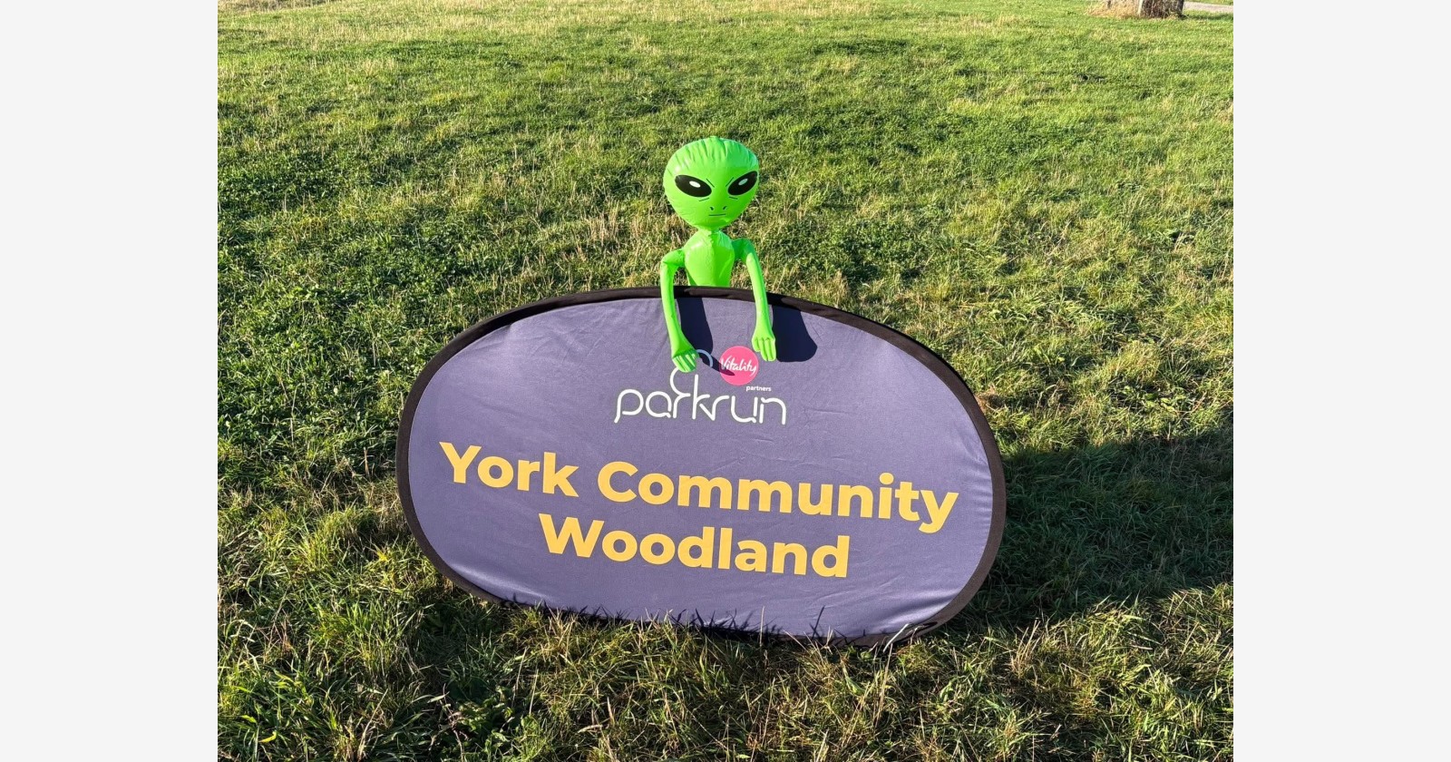 York Community Woodland companion montage
