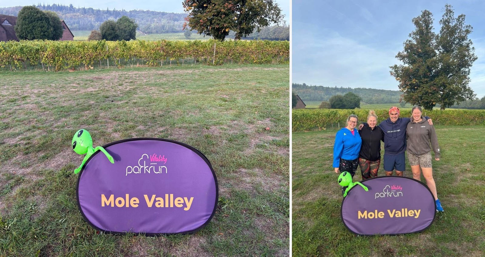 Mole Valley companion montage