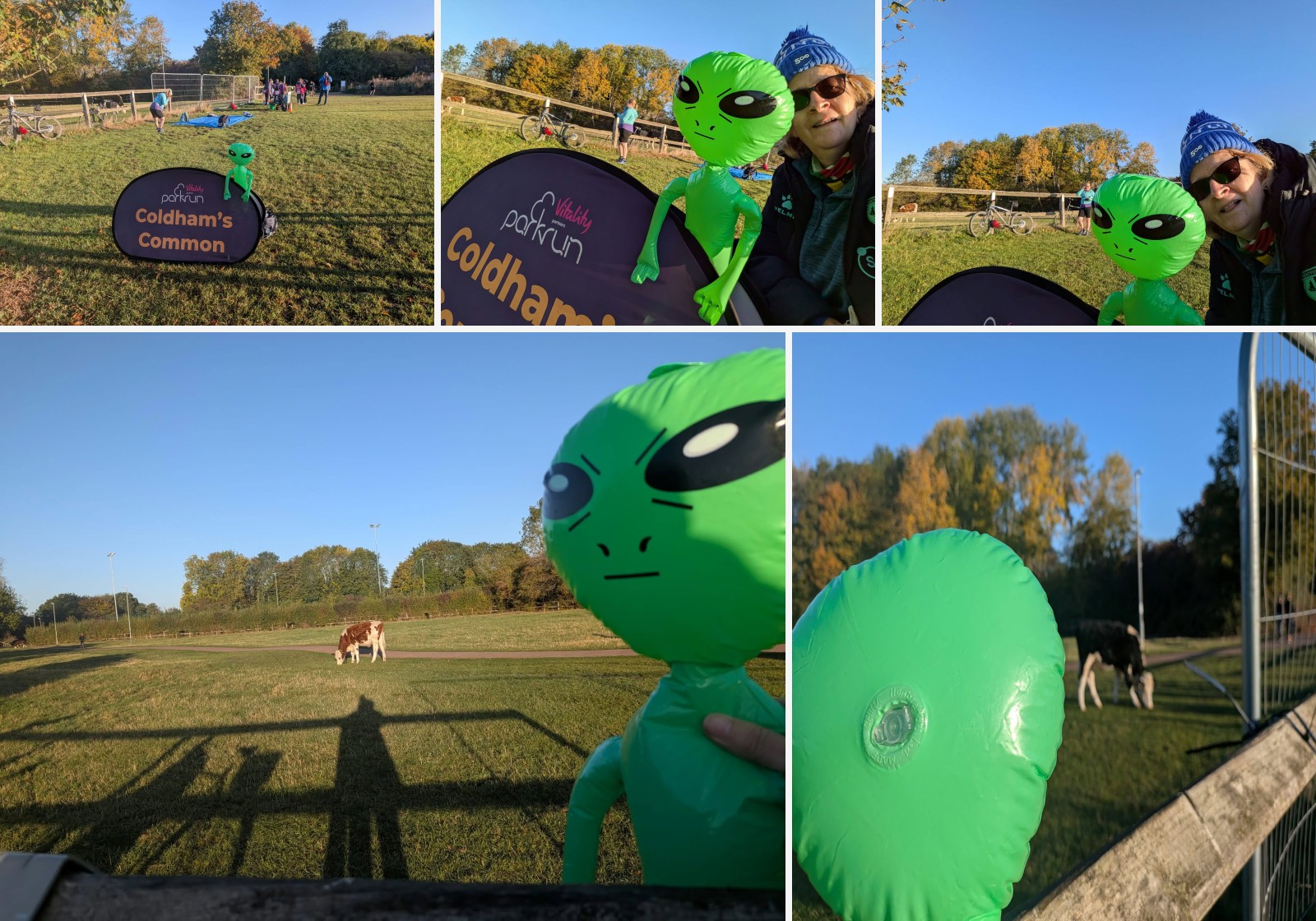 Coldham’s Common companion montage
