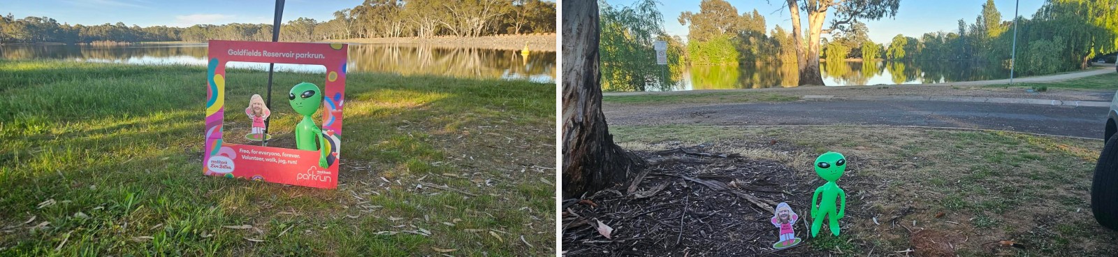 Goldfields Reservoir companion montage